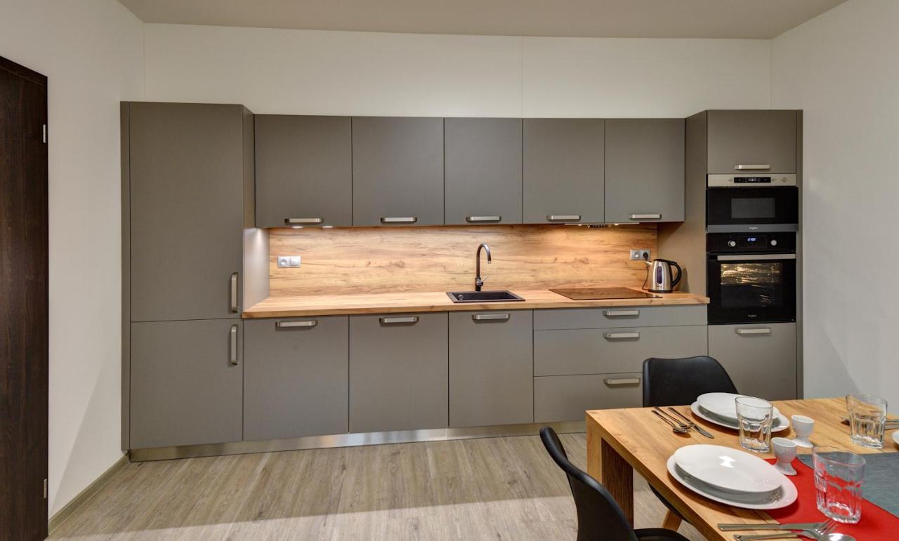 Apartmany Sunny Lipno Lipno nad Vltavou Dış mekan fotoğraf